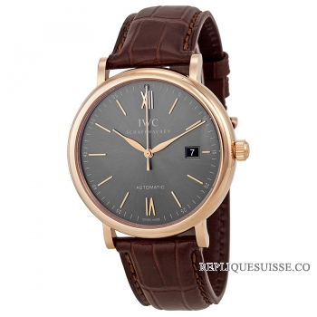 IWC Portofino Automatic 40mm hommes IW356511 Montre Réplique