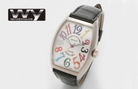 Franck Muller acier Cintree Curvex couleur Reves 7851SCCD Montre Réplique