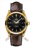 Omega Seamaster Aqua Terra Railmaster XXL Chronometer Hommes Montre Réplique