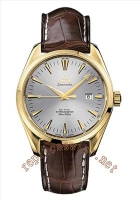 Omega Seamaster Planet Ocean Hommes 2201.51.00 Montre Réplique