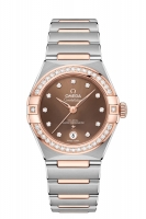 OMEGA Constellation Acier Sedna Or Anti-magnetique 131.25.29.20.63.001