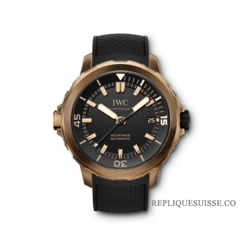 Copie Montre IWC Aquatimer Edition Automatique Collectors Forum IW341001