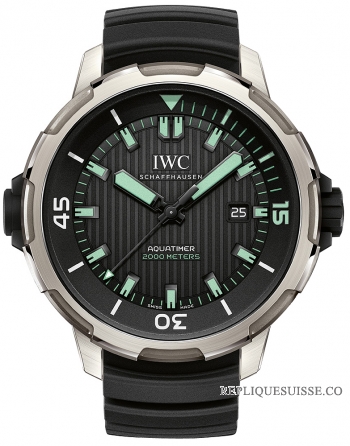 IWC Aquatimer Automatique 2000 Titanium IW358002 Montre Réplique