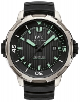 IWC Aquatimer Automatique 2000 Titanium IW358002 Montre Réplique