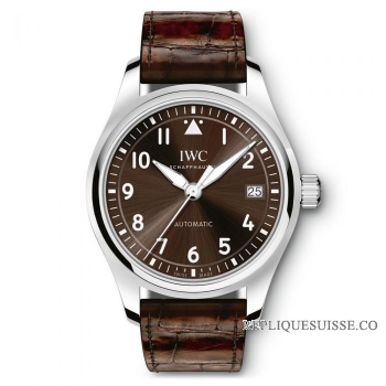 Copie Montre IWC Pilots Automatique 36 Dames IW324009