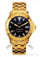 Omega Seasmaster Planet Ocean Chronographe Hommes 2918.50.83 Montre Réplique