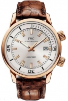 IWC Vintage Aquatimer Automatique Montre Homme IW323103