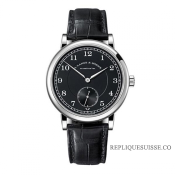 A. Lange & Sohne 1815 200e anniversaire F.A. Lange Platinum 236.049 236.049 Montre Réplique