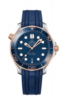 OMEGA Seamaster Steel Sedna Gold Chronometer 210.22.42.20.03.002