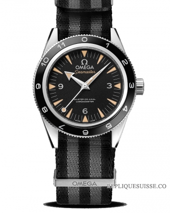 Réplique Omega Seamaster 300 Master Co Axial 41mm 233.32.41.21.01.001