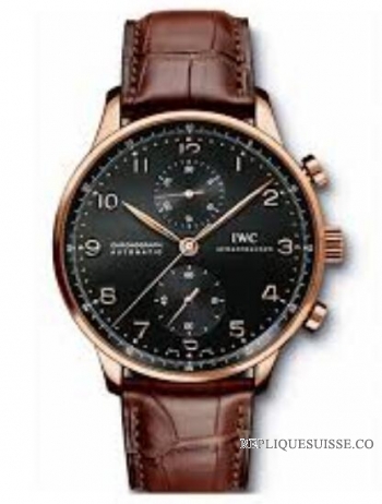 IWC Portuguese Chronographe IW371415 Montre Réplique