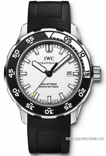 IWC Aquatimer Automatique 2000 Montre Homme IW356806