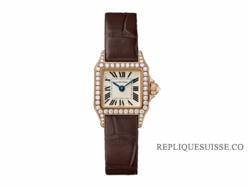 Cartier Santos Demoiselle Petit WF902006