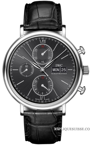 IWC Portofino Chronographe Montre Homme IW391002