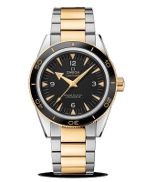 Réplique Omega Seamaster 300 Master Co Axial 41mm 233.20.41.21.01.002