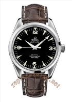 Omega Seamaster Aqua Terra Railmaster Chronometer Hommes 210 Montre Réplique