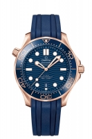 OMEGA Seamaster Sedna or Anti-magnetique 210.62.42.20.03.001