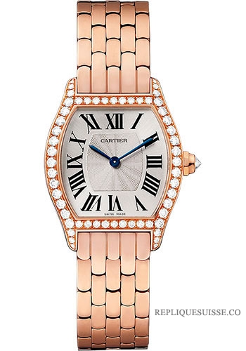 Cartier Tortue Argenteed Flinque Cadran montre Réplique Femme