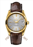 Omega Seamaster Aqua Terra Railmaster XXL Chronometer Hommes Montre Réplique