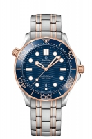OMEGA Seamaster Steel Sedna Gold Chronometer 210.20.42.20.03.002