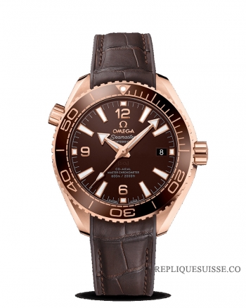 Réplique Omega Seamaster Planet Ocean 600 M Co Axial Master CHRONOMETER 39.5mm 215.63.40.20.13.001