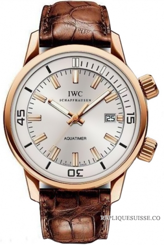 IWC Vintage Aquatimer Automatique Montre Homme IW323103