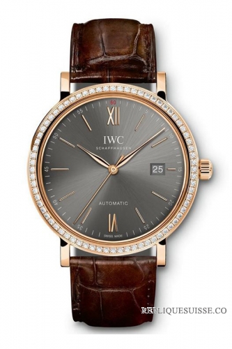 IWC Portofino Automatic hommes IW356516 Montre Réplique