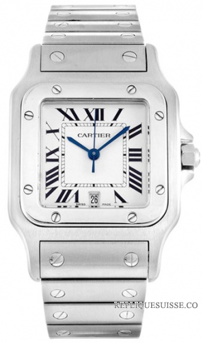 Cartier Santos Inoxydable acier Hommes W20060D6 Montre Réplique