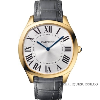 Réplique Cartier Drive de Cartier Manuel avec remontage mecanique WGNM0011