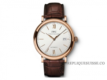 IWC Portofino Automatique Montre Homme IW356504