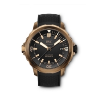 Copie Montre IWC Aquatimer Edition Automatique Collectors Forum IW341001