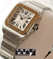 Cartier Santos 100 Automatique Hommes W200728G Montre Réplique