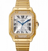 Réplique Cartier Santos Automatique Self Wind WJSA0010 Unisexe