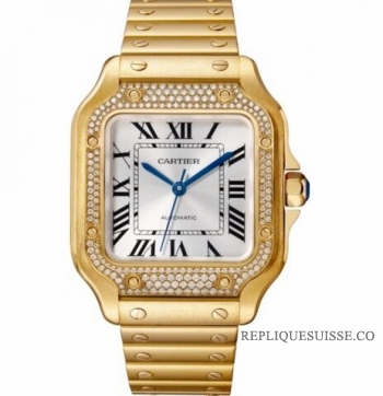 Réplique Cartier Santos Automatique Self Wind WJSA0010 Unisexe