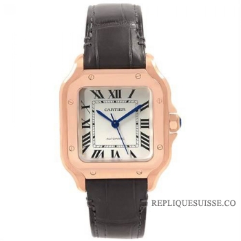 Réplique Cartier Santos Automatique Self Wind WGSA0012