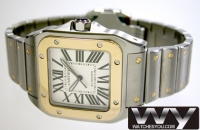 Cartier Santos 100 Automatique Hommes W200728G Montre Réplique