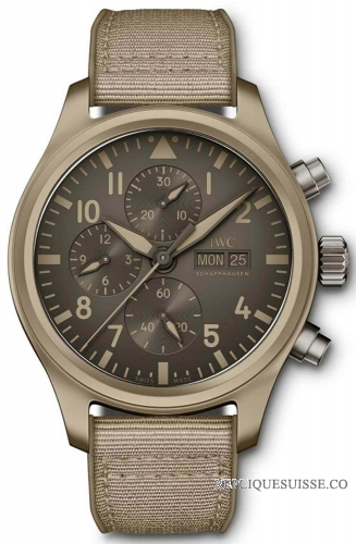 Réplique Chronographe IWC Pilot Top Gun IW389103