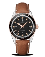 Réplique Omega Seamaster 300 Master Co Axial 41mm 233.22.41.21.01.002