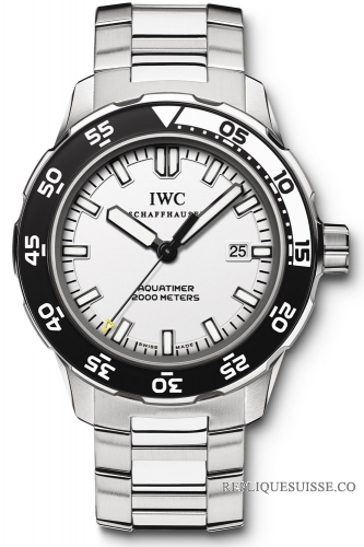 IWC Aquatimer Automatique 2000 Montre Homme IW356805