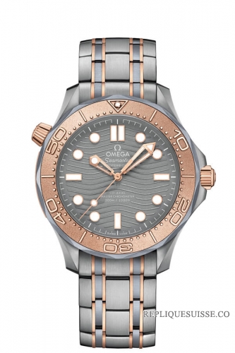 OMEGA Seamaster Titanium Sedna Gold Anti-magnetique 210.60.42.20.99.001