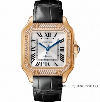 Réplique Cartier Santos Automatique Self Wind WJSA0007 Unisexe