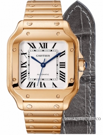 Cartier Santos 18k Or Rose Automatique Cadran Blanc WGSA0031