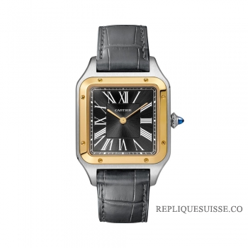 Cartier Santos Dumont 43,5 mm Gents W2SA0015