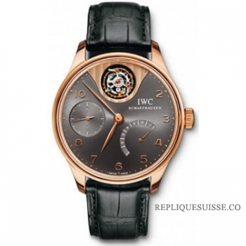 IWC Portugieser Tourbillon Mystere Limited Edition Montre Homme IW504210