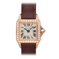 Cartier Santos Demoiselle WF902004