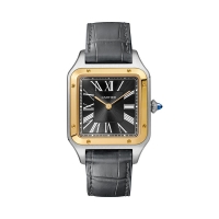 Cartier Santos Dumont 43,5 mm Gents W2SA0015