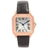 Réplique Cartier Santos Automatique Self Wind WGSA0012