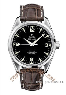 Omega Seamaster Aqua Terra Railmaster Chronometer Hommes 210 Montre Réplique