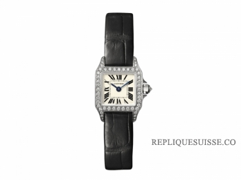 Cartier Santos Demoiselle Mini montre Réplique Femme WF902005