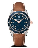 Réplique Omega Seamaster 300 Master Co Axial 41mm 233.62.41.21.03.001